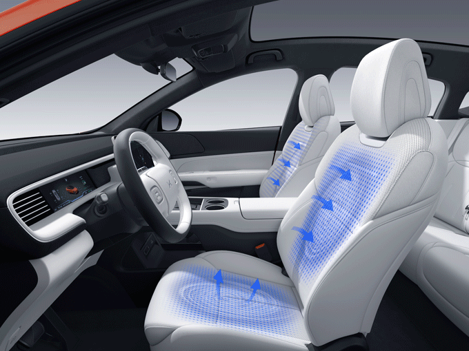 Surrounding Comfort Seats